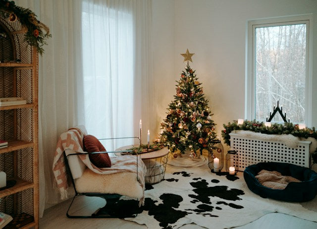 10 Australian Christmas Traditions to Try This Year