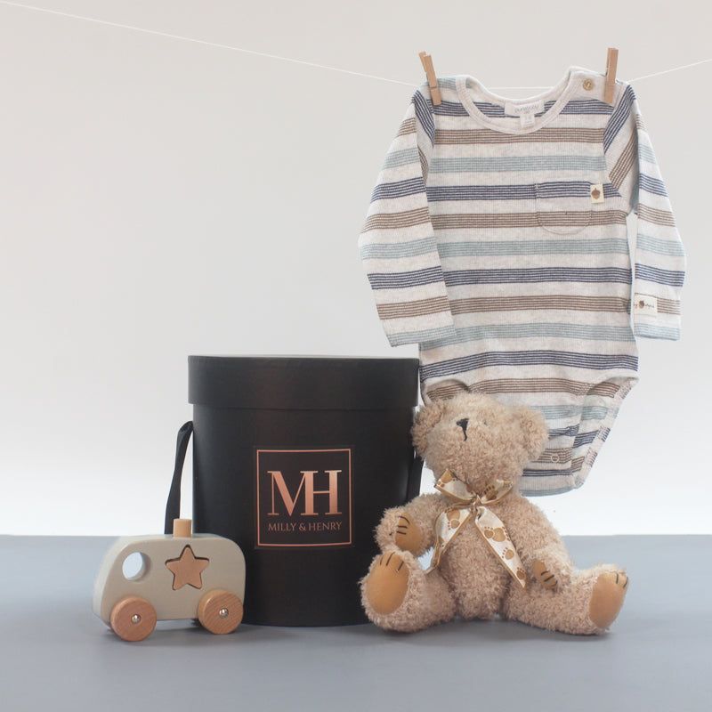 Forest Baby Boy Hamper